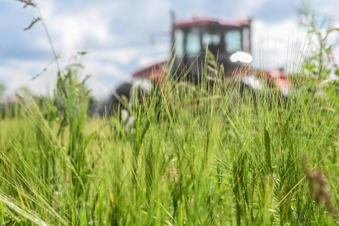 Фото: ИА "Тюменская линия"
